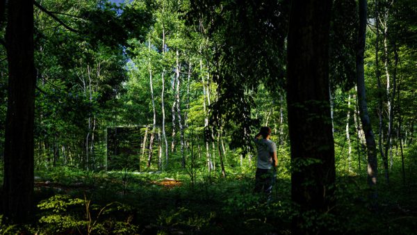 ThermaSol Vue - Front Panoramic Glass, 3-4 Person, Outdoor Sauna - Art of Spas